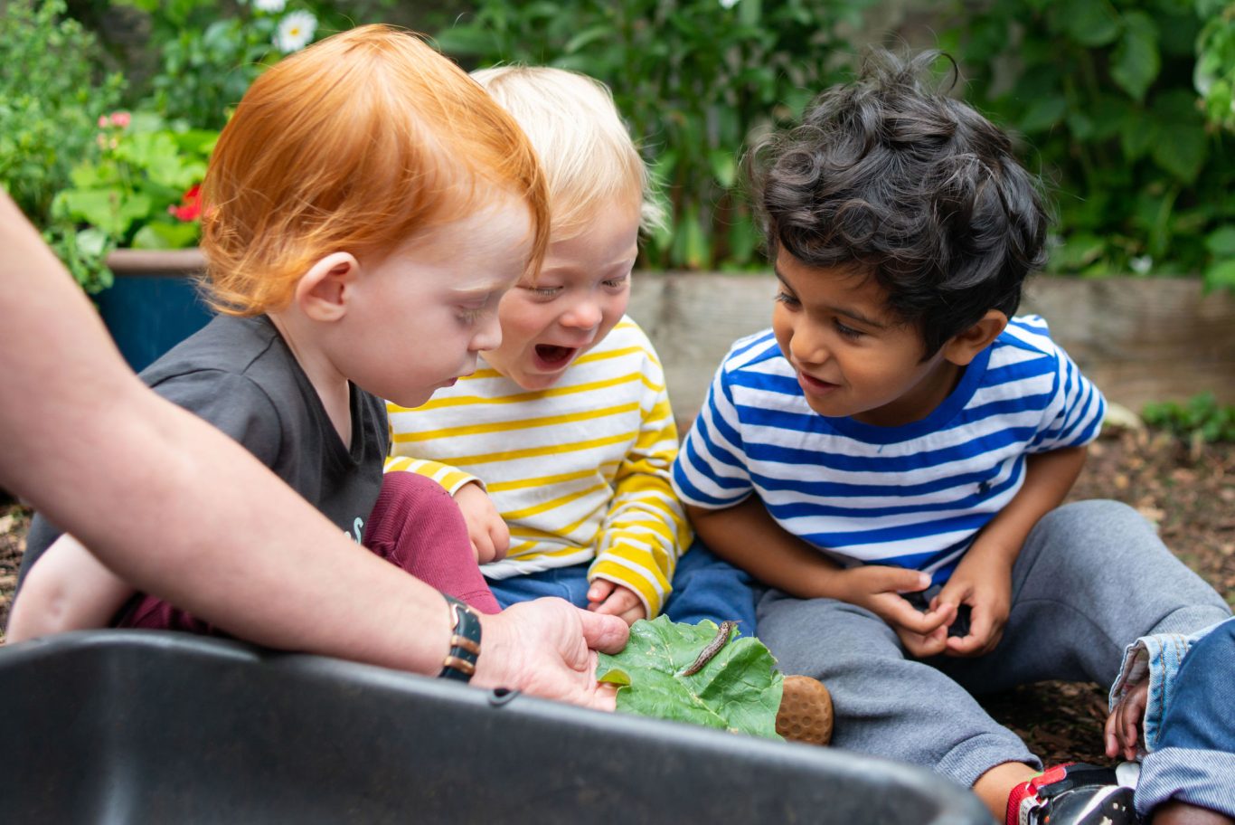 Charging and Remissions Hargrave Park School